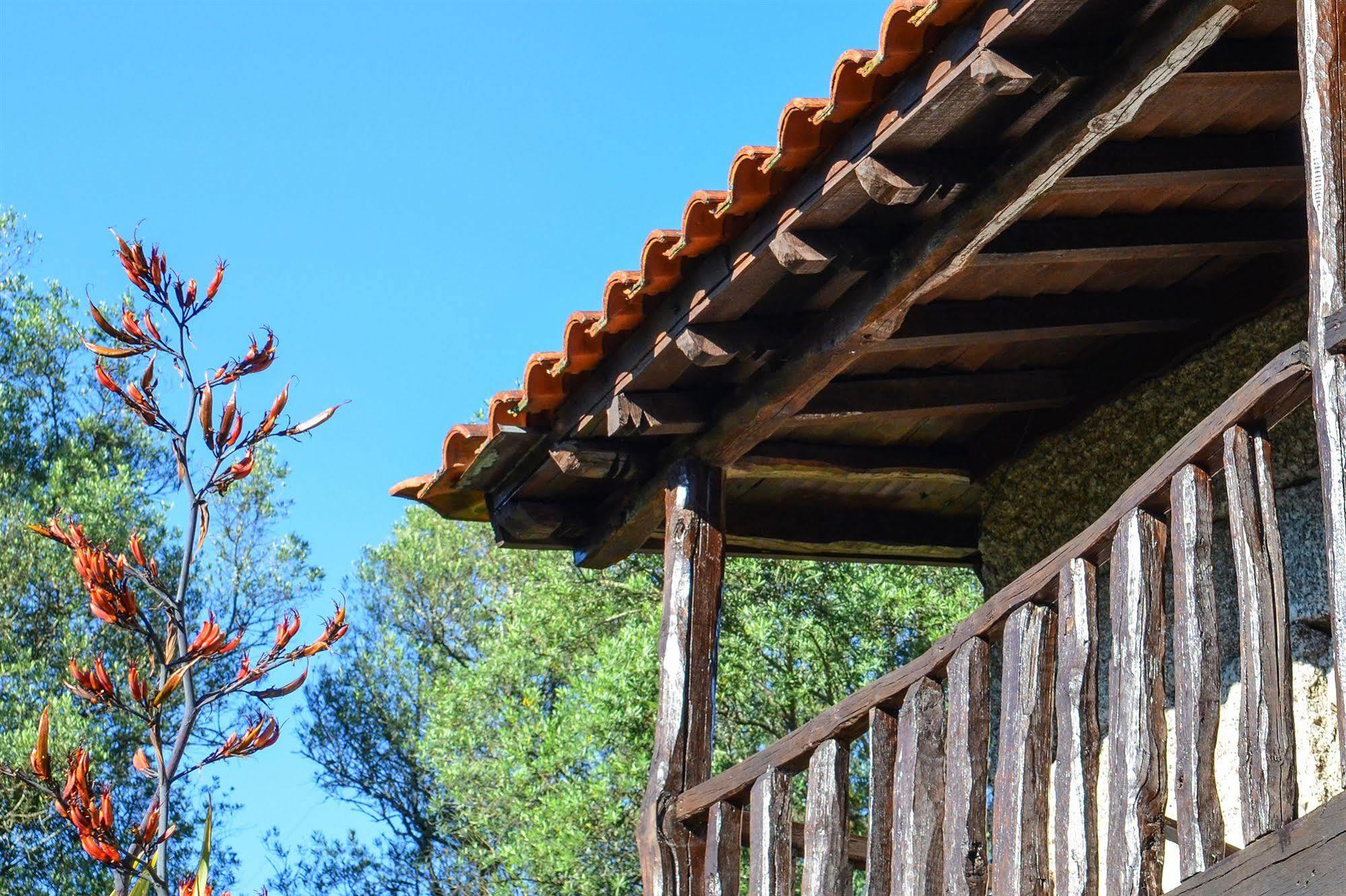 Quinta Brasao Da Canicada ξενώνας Εξωτερικό φωτογραφία